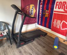 free york treadmill