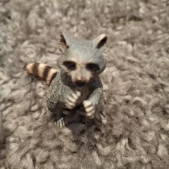 Schleich Racoon retired