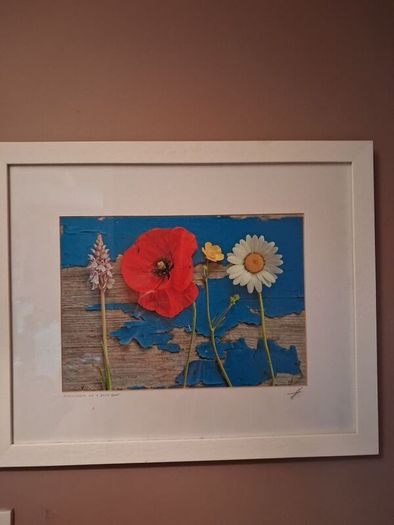 'Wild Flowers on a Blue Boat'