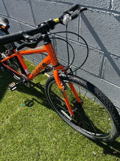Giant ARX 24 inch