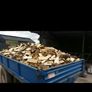Tipping Trailer Image 2