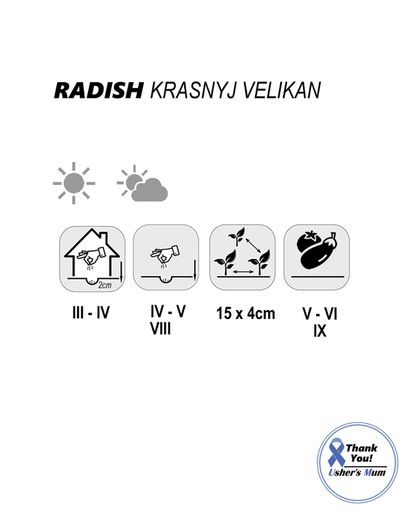 (R) Radish Krasnyj Velikan seeds 3g (121069)