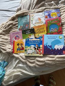 Large selection of French language children's books