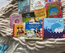 Large selection of French language children's books