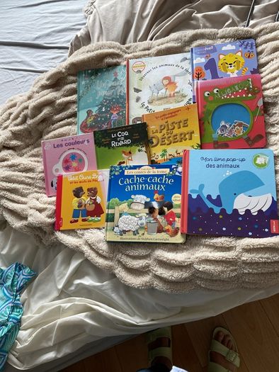 Large selection of French language children's books