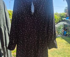 Next Tailoring Polka Dot Dress