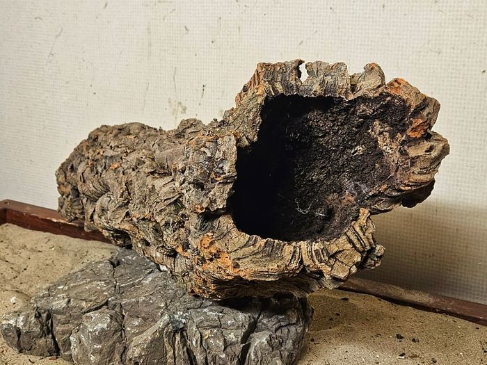 XXL Cork Bark