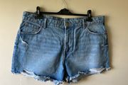 Denim shorts (size 20)