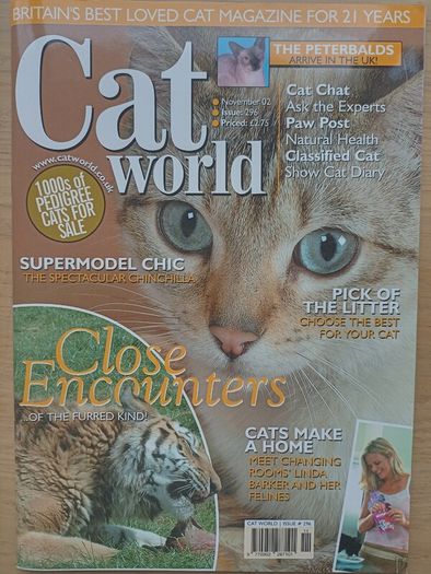 Cat World