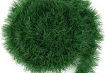 50 Feet Green Christmas Garland Decoration, Xmas Artificial Vine Soft Greenery Chunky Pine Garlands for Christmas Indoor Outdoor Decorations
