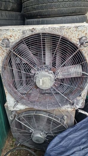 fan