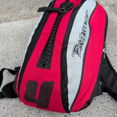 4m Power kite - Beamer