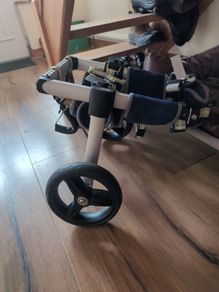 Dog Wheelchair