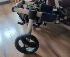 Dog Wheelchair