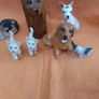 Cats & Dogs Image 3