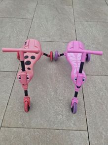 2 x Scuttlebugs