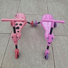 2 x Scuttlebugs