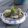 Fabulous Antique W. Adams Two-Handled Tureen with Cacti Garden - A Fabulous Unique and Decorative Item for Display Indoors Image 2