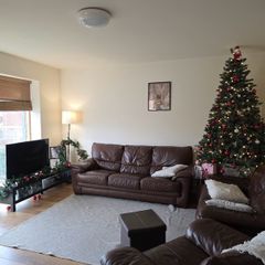 selling sofa