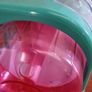 Little live pet hamster cage Image 7
