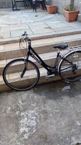 imagine bike
