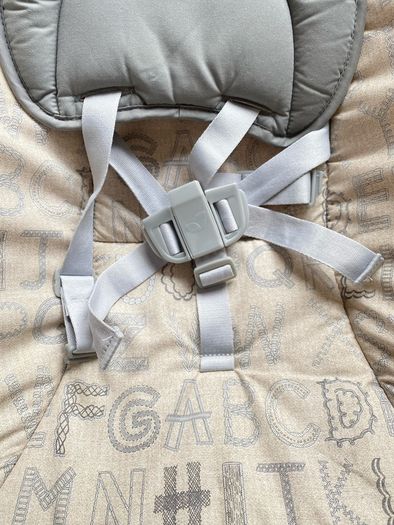 Baby bouncer