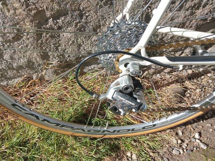 Pinarello Treviso 56cm Campagnolo Record 10 sp