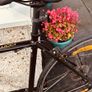 trek 2 Bike Image 7