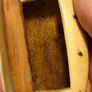 19th Century Horn Scrimshaw Snuff Box Image 7