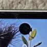 Samsung fold 6 256gb Image 2
