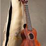 Gretsch Concert scale soprano ukulele (Long neck soprano) Image 7