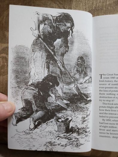 The Irish Famine. An Illustrated History By Helen Litton. First Edition Paperback In Good Condition.