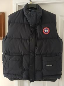 Canada goose