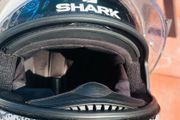 Shark D-Skwal Anyah