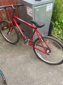 Adult bike