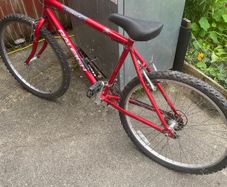 Adult bike