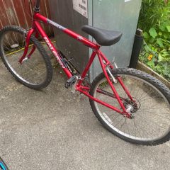 Adult bike