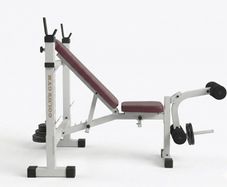 Weights Bench