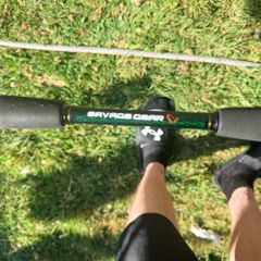 Savage Gear XLNT3 trigger bait caster.