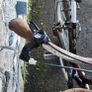 ladies bike dawes duchess Image 4