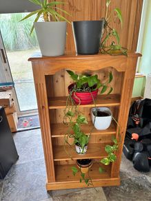 The last few plants FREE to take!