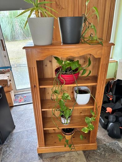 The last few plants FREE to take!