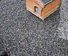 dog box