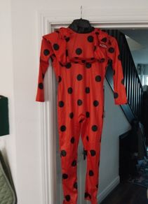 miraculous costume