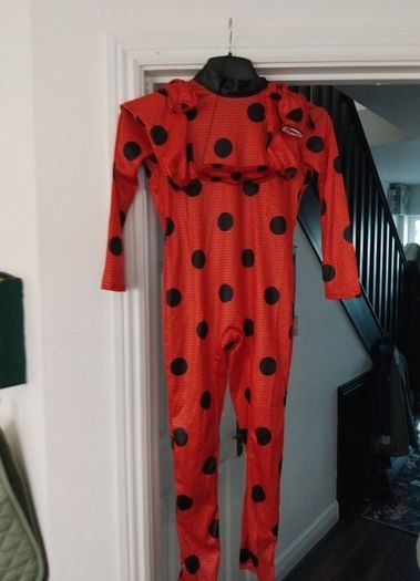 miraculous costume
