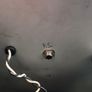 Fender Champ 12 Redknob Image 3