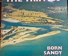 The Triffids Born Sandy Devotional