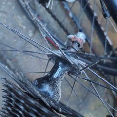 Campagnolo road wheelset for parts