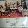 The Lookalikes, Daydreaming at night  LP with inner, Portugal press,   Irish New Wave Image 2