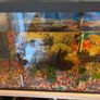 Fish tank / Aquarium with 5 fishes Image 4